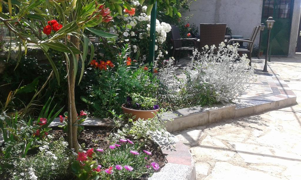 Apartments"Nika" With Private Pool Galovac  المظهر الخارجي الصورة